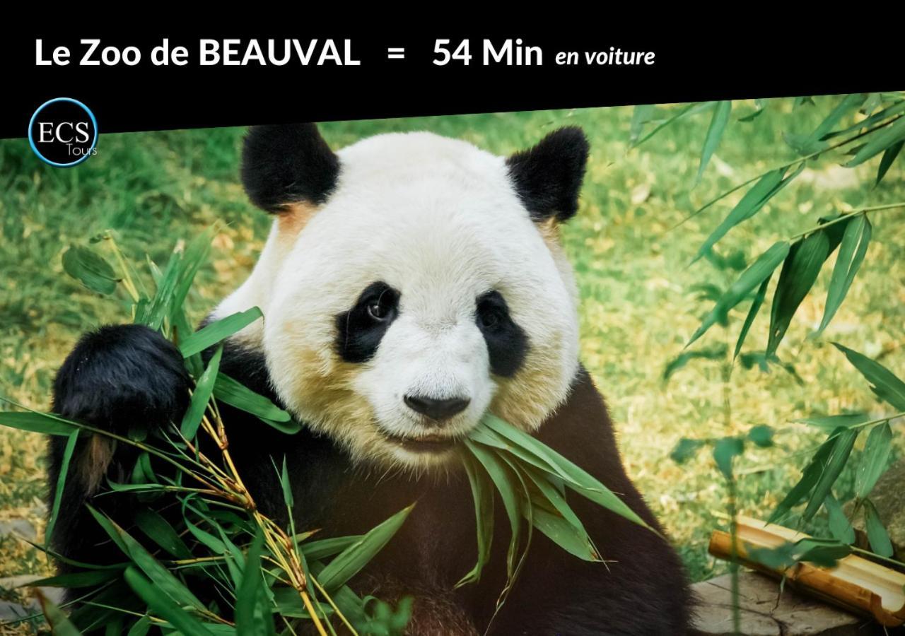 "Le Roll'S" - 1 Chambre - 5 Couchages - Calme - Terrasse - Parking Prive 图尔 外观 照片